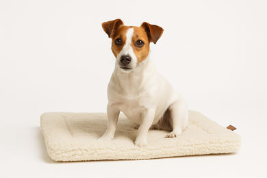 Designed by Lotte Hundekissen Ligra Fleece Beige Größe L – Bild 1 von 11