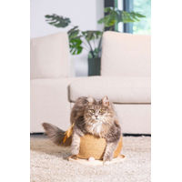 Produktbild von Designed by Lotte Kratz- und Spielball Mila aus Holz mit Sisal in Braun und Beige 29,5 x 22 cm