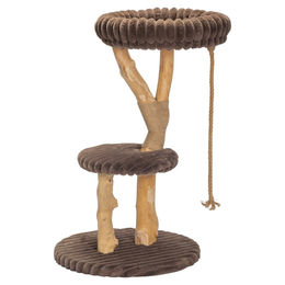 Designed by Lotte Kratzbaum Reya aus Holz in Braun 60x60x103cm für Katzen – Bild 1 von 13