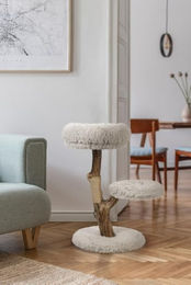 Designed by Lotte Kratzbaum Zora aus Holz für Katzen in Grau oder Natur 50x50x72 cm – Bild 1 von 5