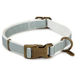 Produktbild von Designed by Lotte Nylonhalsband Virante Mint verstellbar 48-70 cm - 300 g