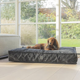 Designed by Lotte Orthopädisches Hundekissen Wild Essence mit Memory Foam in Anthrazit 100x70 cm – Bild 1 von 5