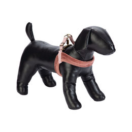 Produktbild von Designed by Lotte Velura Hundegeschirr Grün Größe M 20 mm x 58 cm