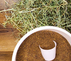 Deukavallo Leinvital Pferdefutter Ergänzung zur Unterstützung von Verdauung und Stoffwechsel 6 kg - 6 kg – Bild 1 von 8