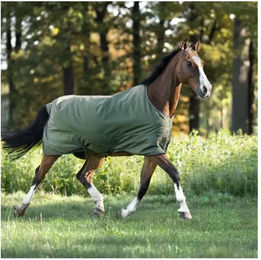 Produktbild von Deukavallo Outdoor-Decke Kavalkade Montreal Grün aus Polyester 100g