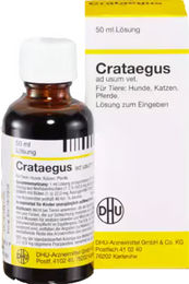DHU Crataegus ad usum vet Lösung 50 ml – Bild 1 von 1