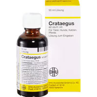 Produktbild von DHU Crataegus ad usum vet Lösung 50 ml