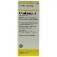DHU Crataegus ad usum vet Lösung 50 ml und 250 ml Dilution – Bild 1 von 1