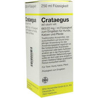 Produktbild von DHU Crataegus Ad Usum Veterinarium Dilution 250 ml