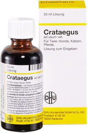DHU Crataegus Tropfen zur Herzunterstützung für alle Tierarten und Altersstufen 250 ml – Bild 1 von 1