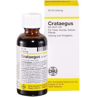 Produktbild von DHU Crataegus Tropfen zur Herzunterstützung für alle Tierarten und Altersstufen 250 ml