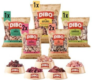 DIBO Frostfutter Katzen Bundle mit Rind, Kaninchen, Hirsch und Geflügel ohne Konservierungsstoffe 6000g – Bild 1 von 3