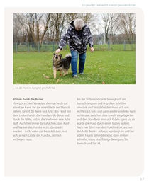 Die Hundeschule Beschäftigung und Fitness für Hunde in Weiß – Bild 1 von 4