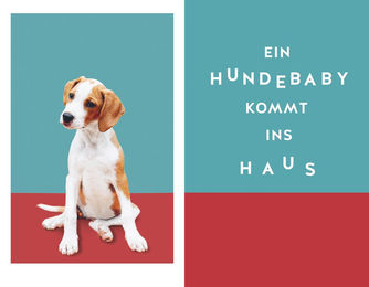 Die Kunst einen Welpen zu bändigen Gräfe Und Unzer Teubner Ratgeber für junge Hunde – Bild 1 von 4