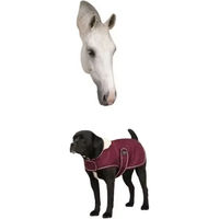 Produktbild von Diego & Louna Fleece-Hundedecke Teddy für erwachsene Hunde