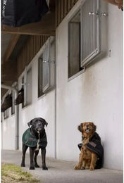 Diego & Louna Hundedecke aus Nylon Teddy für erwachsene Hunde – Bild 1 von 2