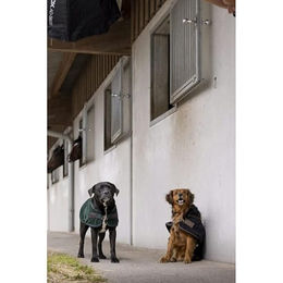 Produktbild von Diego & Louna Hundedecke aus Nylon Teddy in Schwarz 46 cm