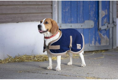 Diego & Louna Hundedecke Polyfun Navy – Bild 1 von 1