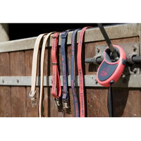 Produktbild von Diego & Louna Hundehalsband aus Nylon in Rot für erwachsene Hunde