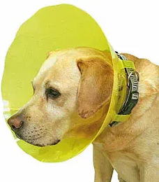Produktbild von Difac Hundehalsband T2 aus Kunststoff in Grün Gelb Transparent