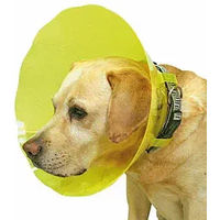 Produktbild von Difac Hundehalsband T2 aus Kunststoff in Grün Gelb Transparent