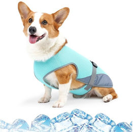 Diwzbyn Kühlweste für Hunde Blau Türkis Größe S – Bild 1 von 3