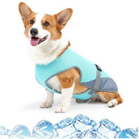 Produktbild von Diwzbyn Kühlweste für Hunde Blau Türkis Größe S