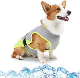 Diwzbyn Kühlweste für Hunde Grau Größe S – Bild 1 von 3