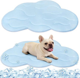 Diwzbyn Selbstkühlende Hundematte für Hunde und Katzen Blau Größe M – Bild 1 von 1