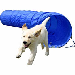 Dobar Agility Tunnel für Hunde aus Nylon blau zusammenfaltbar - 300 cm – Bild 1 von 6