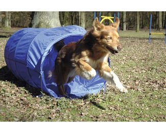 dobar Agility Tunnel für Hundesport Größe L Blau - 500 cm – Bild 1 von 4