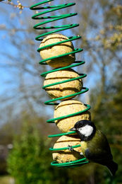 dobar Frucht-Meisenknödel für Wildvögel 100 Stück à 90g – Bild 1 von 6