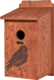 dobar Green Label Starenkasten Star aus FSC Holz mit Siebdruckmotiv Braun 19 x 20 x 38 cm – Bild 1 von 13