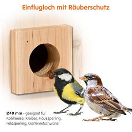 dobar Nistkasten EAZY Flachdach aus Holz mit WiFi Kamera und Solar-Panel für Wildvögel, Grün – Bild 1 von 11