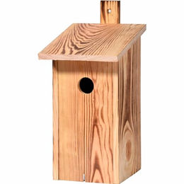 dobar Nistkasten Flachdach aus Holz geflammt für Wildvögel und Meisen Braun – Bild 1 von 13