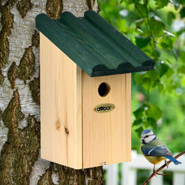 dobar VOBU Meisenkasten aus Holz in Grün für Wildvögel – Bild 1 von 5