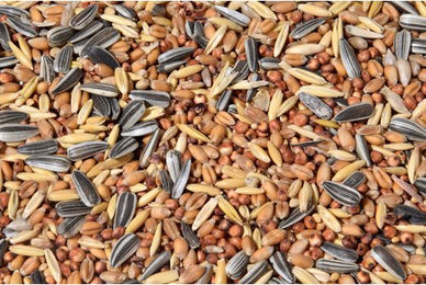DOBAR Wildvogel Streufutter gemischt 20 kg – Bild 1 von 5