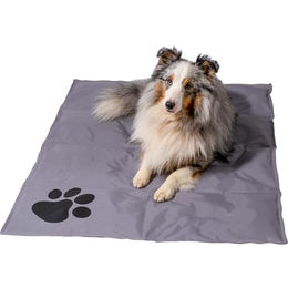 dobar XL Selbstkühlende Hundematte für Hunde und Katzen in Grau – Bild 1 von 7
