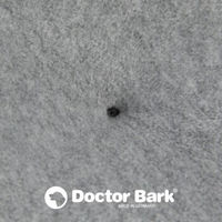 Produktbild von Doctor Bark Hundebett Mini aus Fleece Grau Größe S
