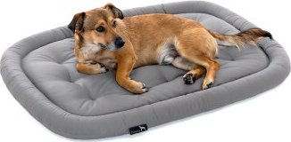 Doctor Bark Pointer Hundekissen aus Baumwolle Grau Größe M – Bild 1 von 3