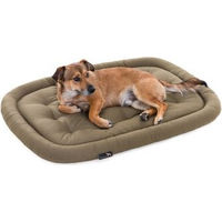 Produktbild von Doctor Bark Pointer Hundekissen XL Beige aus Baumwolle für Senior Hunde mit Gelenksupport