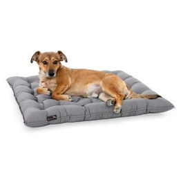 Doctor Bark Pointer Urban Hundekissen aus Baumwolle Grau XXXL – Bild 1 von 2