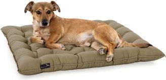 Doctor Bark Pointer Urban Hundekissen aus Baumwolle sandbraun Größe L – Bild 1 von 3