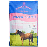 Produktbild von Dodson & Horrell Sixteen Plus Müsli für Senior Pferde 20 kg - 20 kg