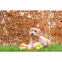 Produktbild von Dog Comets Hundespielzeug Glow in the Dark Moon Ball Rosa Größe S