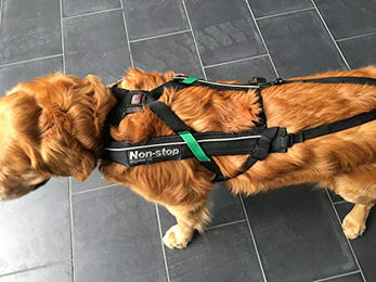Dog Copenhagen Canicross-Geschirr Free Motion Sportgeschirr für Hunde Schwarz Größe T10 wasserabweisend – Bild 1 von 6