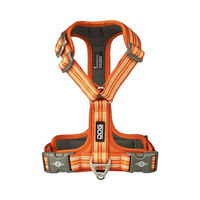 Produktbild von DOG Copenhagen Comfort Walk Air 3.0 Hundegeschirr für Welpen Orange Sun S wasserabweisend