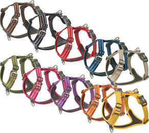 DOG Copenhagen Comfort Walk Air Hundegeschirr für Welpen Beige Größe L wasserabweisend – Bild 1 von 9