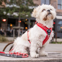 Produktbild von DOG Copenhagen Comfort Walk Air Hundegeschirr Wasserabweisend Lemon Größe M