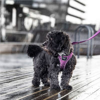 Produktbild von DOG Copenhagen Comfort Walk Go Hundegeschirr Desert Dune XS wasserabweisend